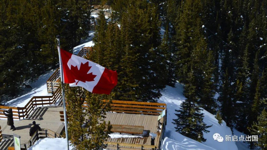 技术移民|澳洲本财年最后一轮189独立技术移民EOI发放，幼教、护士等紧缺职业是大赢家！