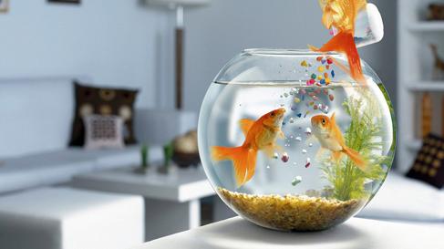 卧室里最忌讳的这些“摆设”这5点触碰不得