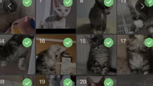 微信|微信又更新！红包界面＋20张朋友圈图片