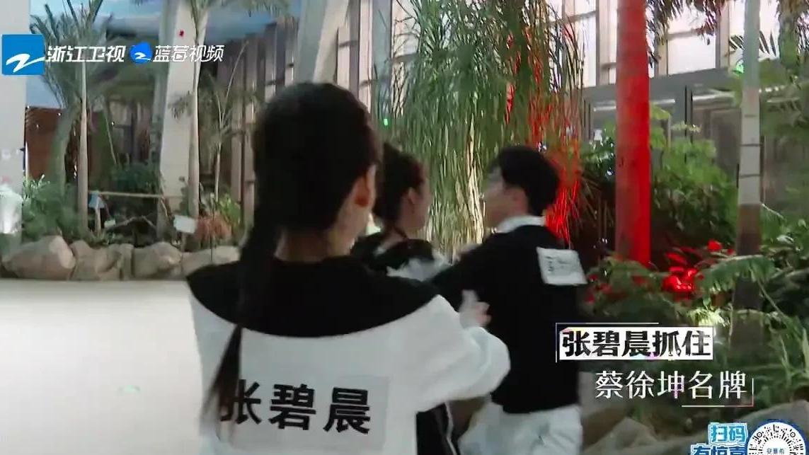 赵本山|张碧晨同学，请收下我的膜拜：一个注定进入跑男封神榜的女人