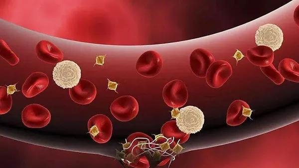 糖尿病|肝功能怎么看，这三个指标要格外重视！