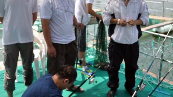 琼州海峡|4名男子在琼州海峡无人岛上钓鱼，却意外地摊上事了，到底为啥？