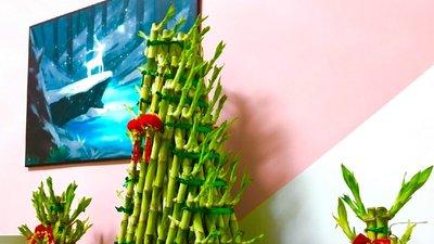 深圳风水大师耶朗：势如破竹开运法