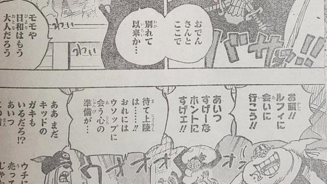 赤犬|海贼王1054话：旧四皇联盟刚失败，新四皇又要联盟，赤犬要哭了