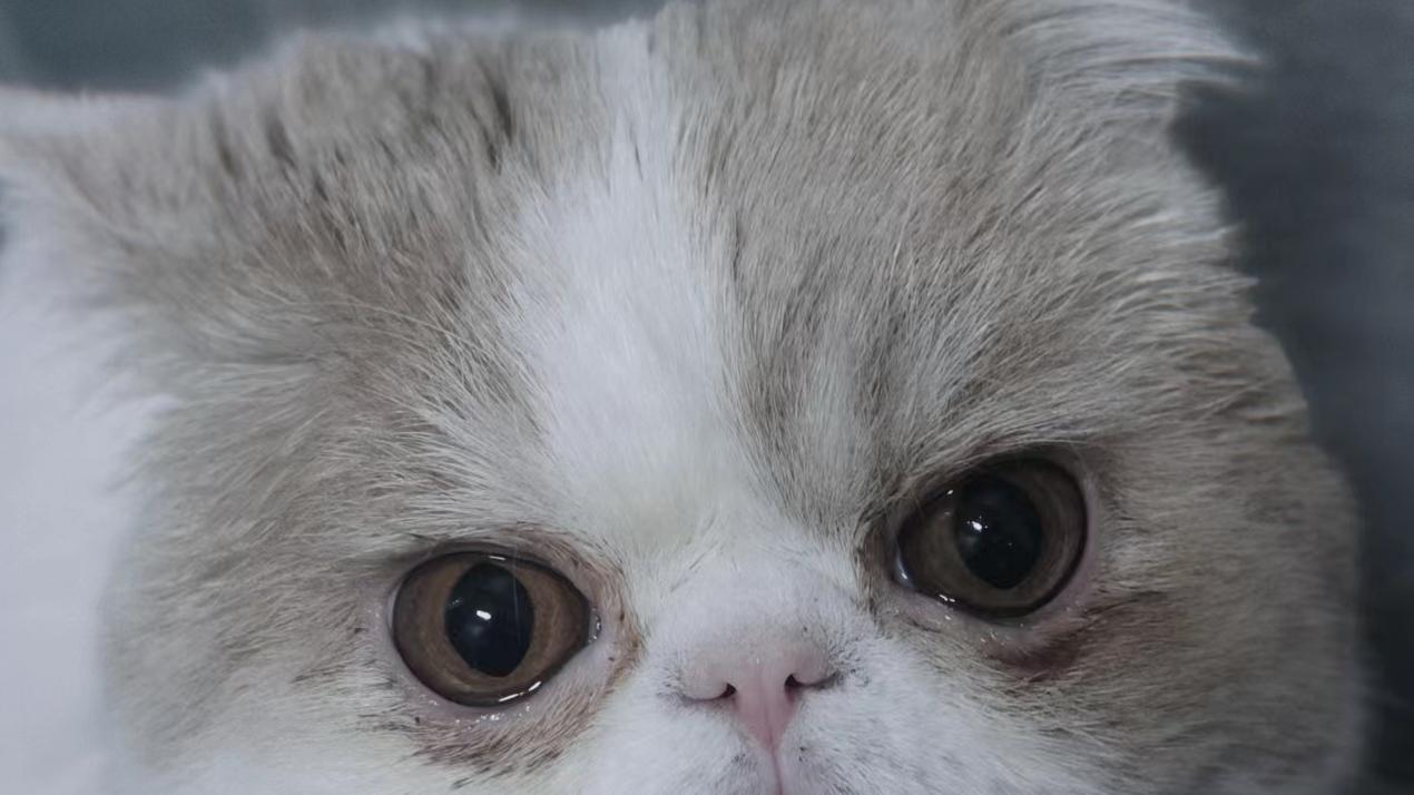 |职场中的“小众”事件