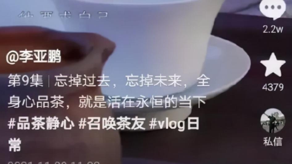 李亚鹏|梳子2亿，石头3亿，我笑晕在李亚鹏的短视频里了