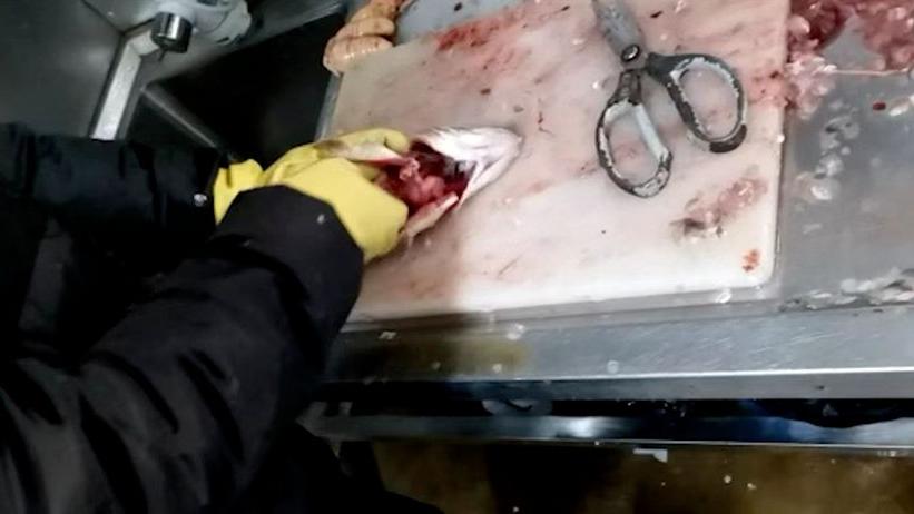 电子商务|媒体曝光的死鱼冒充活鱼的生鲜电商原来是这家