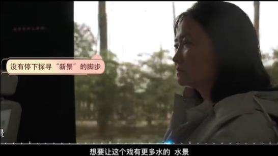 刘亦菲|刘亦菲这样的「人造仙女」，配不上内娱？!