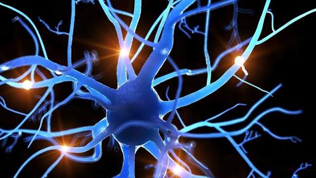 糖尿病|糖尿病人怎么改善血管并发症？研究发现人参三七川芎提取物有益