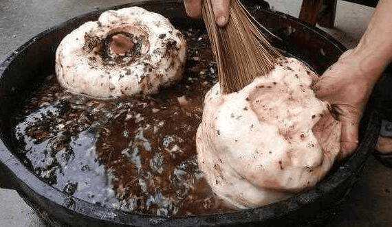 抗癌|没卖相的它, 每天吃一点白发变黑, 防癌抗癌效果好