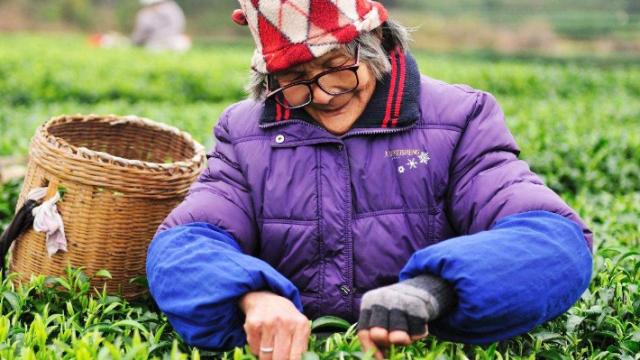 长寿|公认的最佳“起床时间”是什么？在这时间起床，或许与长寿更接近