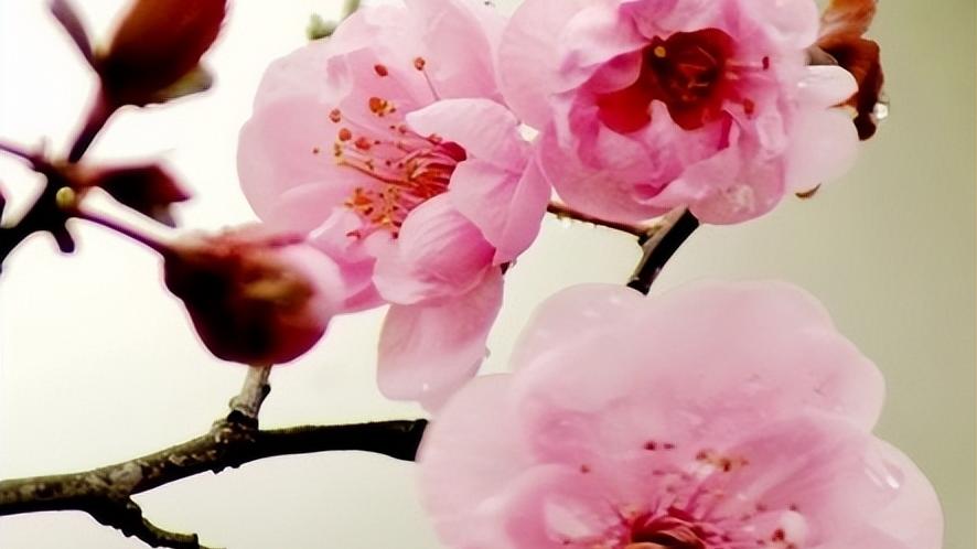 春夏穿搭|哪几个日子出生的人，出路多且广，身边的贵人帮助他们事业起飞