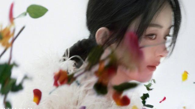 赵丽颖|赵丽颖最新时尚大片糊了，网友：她跟杨幂好像