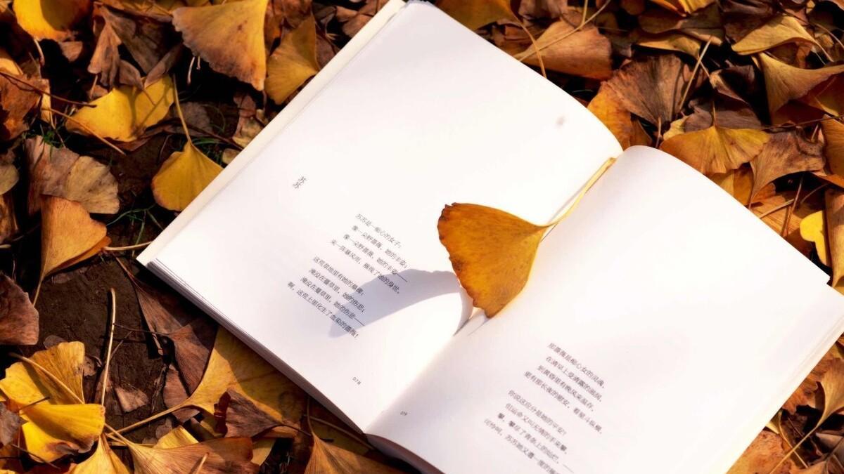 路遥《人生》：高加林虽然失败却不可悲，因为人生总有试错与遗憾