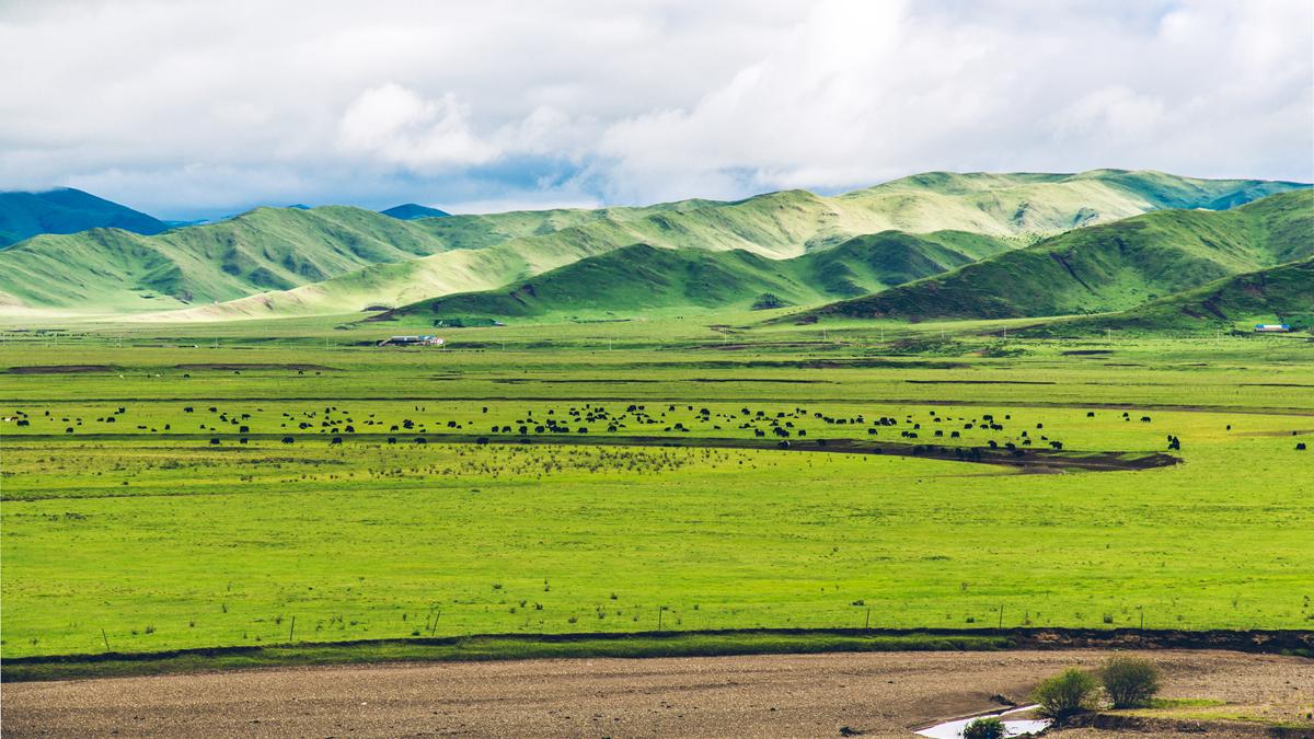 新疆维吾尔自治区|夏天当然要去草原，露营、骑马、看星空……