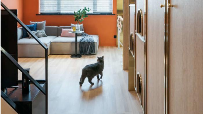 65万买下50平小户型房子，将餐厅纳入厨房，让空间更有通透感