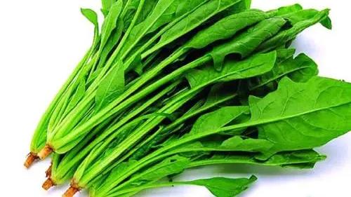 地黄|人到中年血液粘稠，莫慌！多吃此菜，血管畅通无阻，早吃早健康！