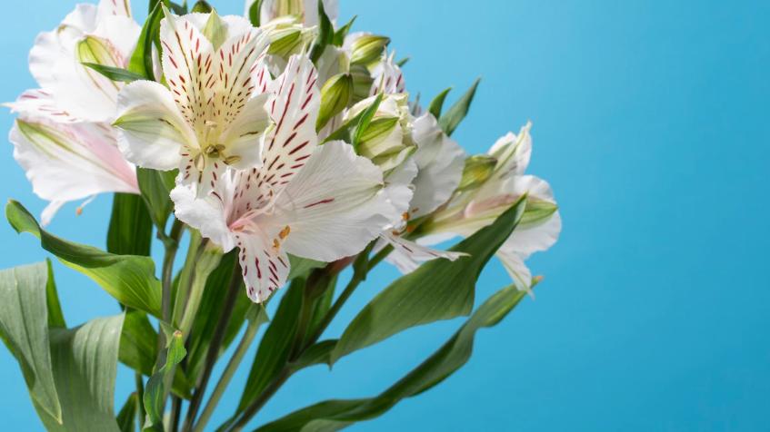 脾胃|最高级的养生方式：远离坏情绪