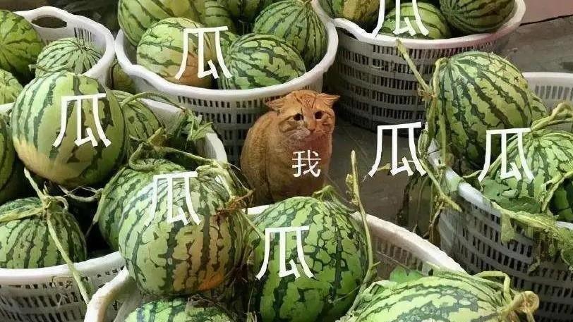 翟天临|四位从巅峰跌落的四位明星，有人未婚生子，有人卖惨求复出