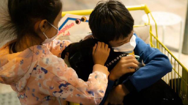 孙俪|孙俪晒与儿女对话，小花变哥控等等“邓超化”，打趣妈妈疯疯癫癫