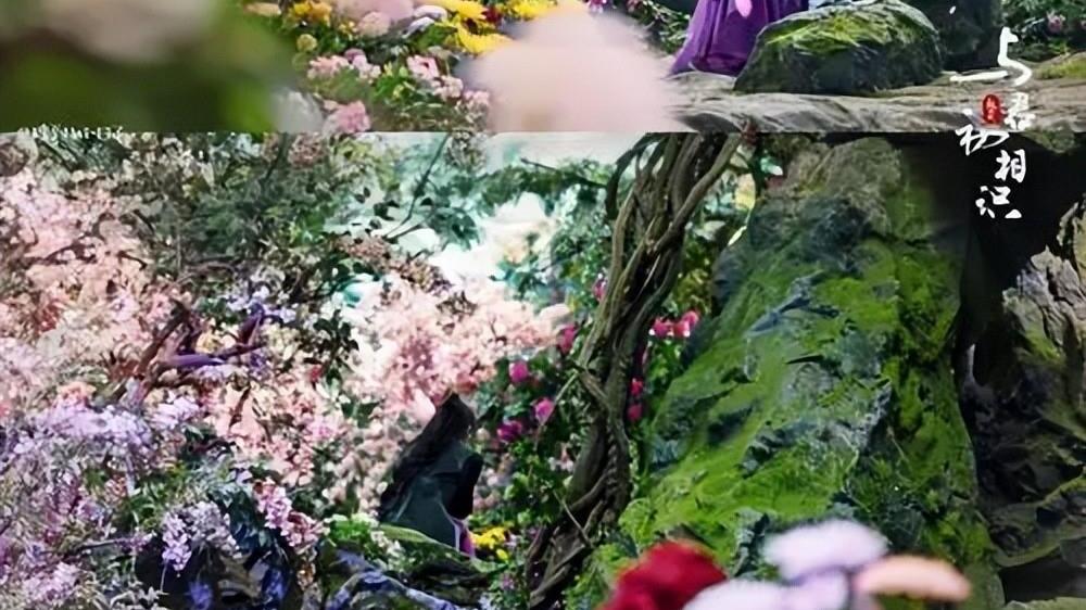 与君初相识·恰似故人归|《与君初相识》中有3位演过《香蜜》，你全认出来了吗？