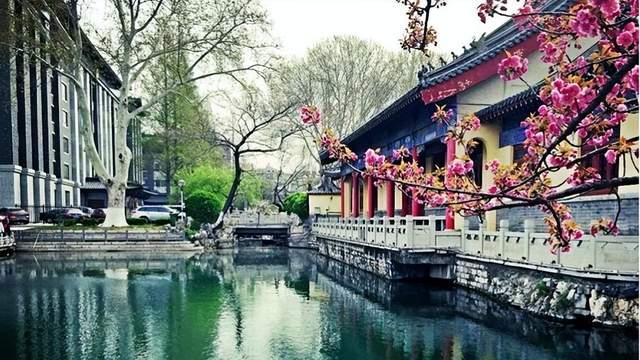 南京|南京又一“绝美景区”走红，植被茂密景观众多，还有大量人文古迹