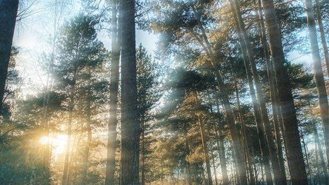 衰老|免费心理咨询：帮助缓解压力的方法有哪些？