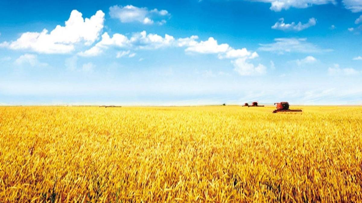 拼多多|怎么才能让中国年轻人爱上种地？