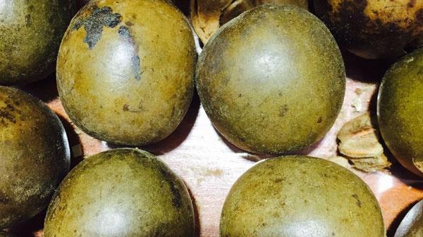 咳嗽|咳到肺都要出来，是不是得了肺病？常吃4物，止咳化痰，肺更舒服