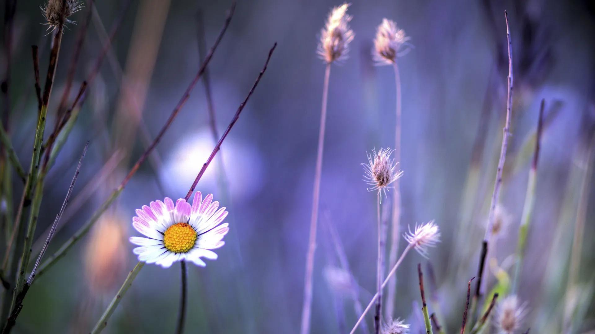 云吞面|87岁，馋碗云吞面到崩溃，当你失去健康，一日三餐都是枪林弹雨