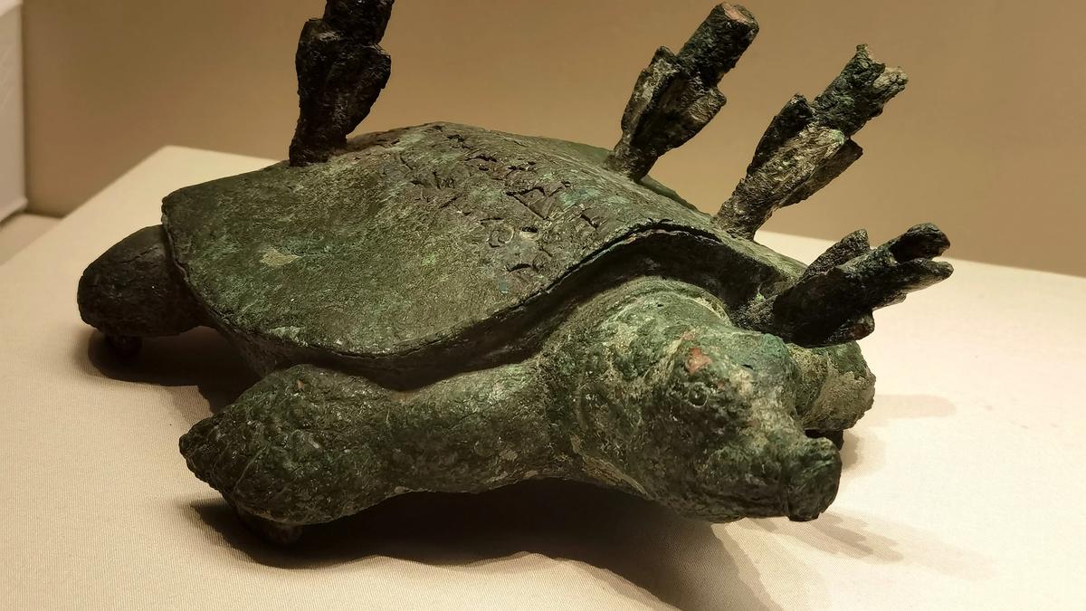 明水|一只背插四根箭的乌龟，被老人钓鱼发现，没成想可以价值18亿