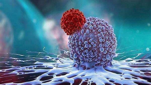 运动|韭菜，是癌细胞的“发物”吗？建议：忌4物，做4事，利于身体健康