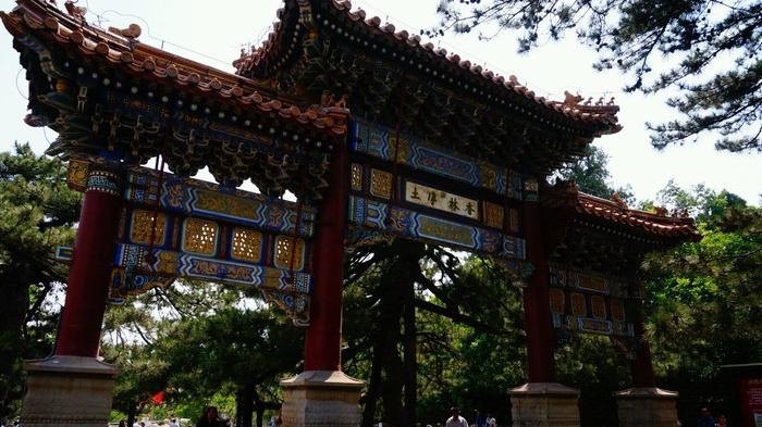 北京市|北京一“隐秘”的千年古寺，古树参天环境清幽，名字却总让人念错