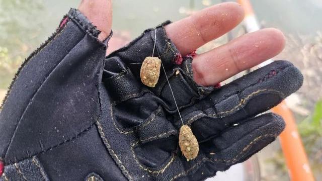 长沙|高目和低目之争：钓大鱼究竟怎么调漂？野钓这种方法最简单