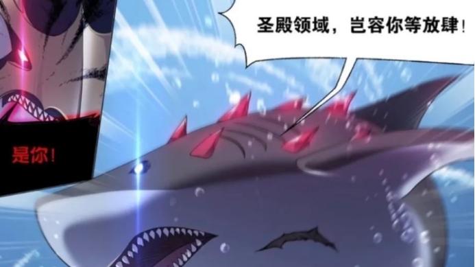 马红俊|邪魔虎鲸王惨遭史莱克八怪包围，唐三用海神之心戏耍虎鲸魂兽群！