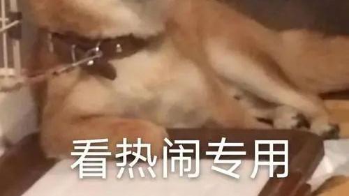 地产太子前宠妃被人狂扣绿帽，实在憋屈！