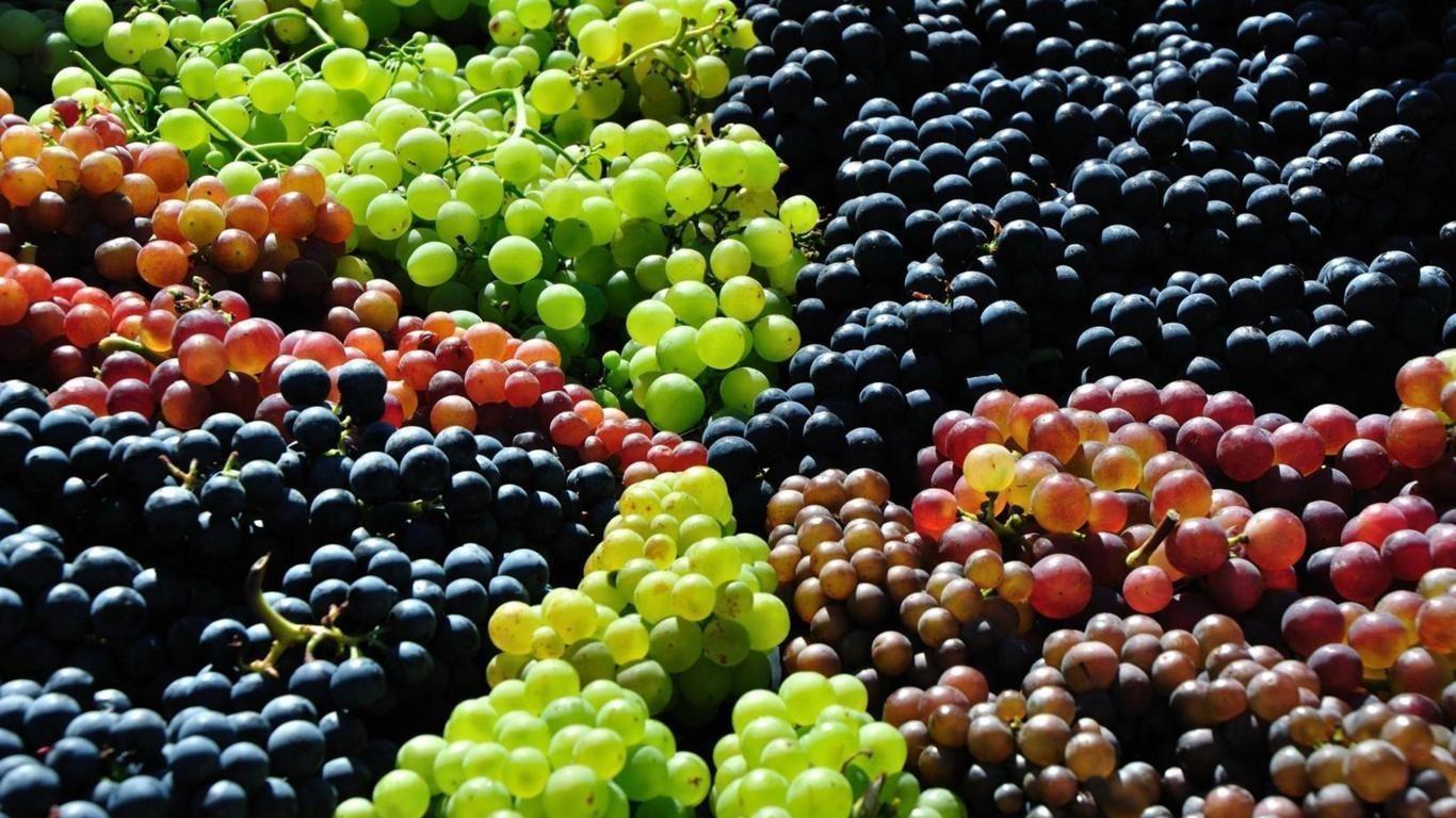 血糖|研究发现：吃葡萄对身体健康和寿命都有关系？看看真正的结果