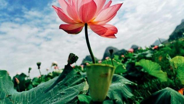 水果|这几种水果是“湿气果”，越吃湿气越重