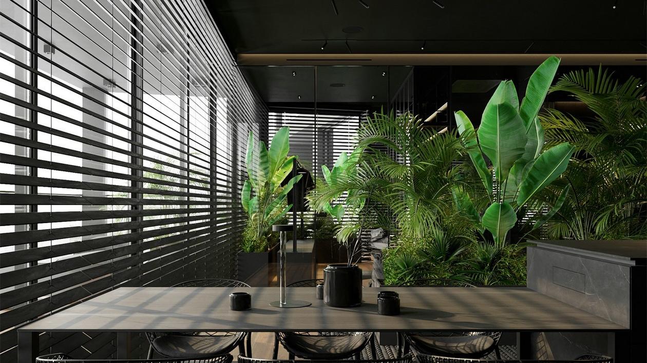 HOUSE 设计 | 黑色+绿植+通透主义+彩光源
