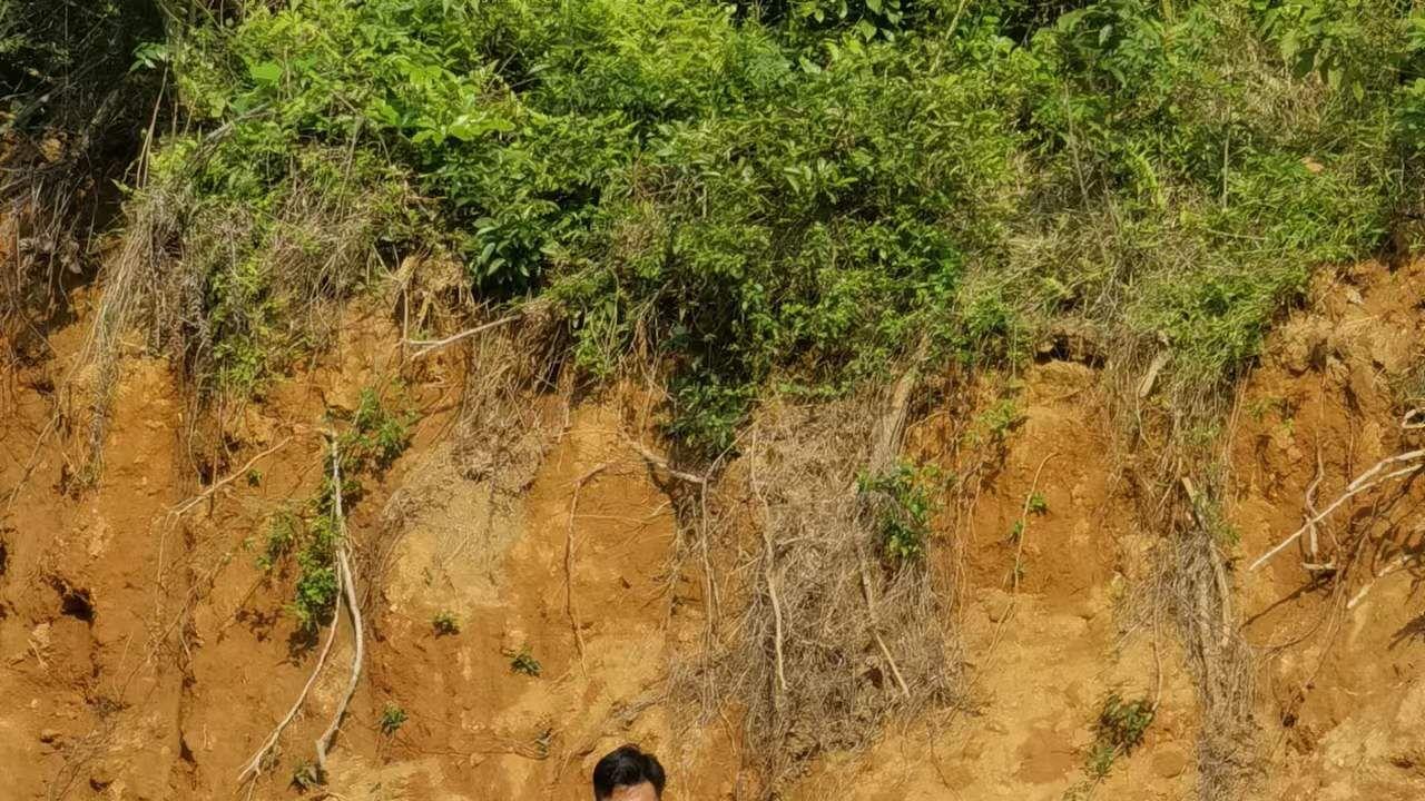 韦世豪|重创！保利尼奥韧带撕裂伤停半年，曝张琳芃逗留广州却和小孩踢球