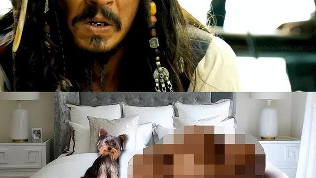 约翰尼·德普|为什么约翰尼·德普的老婆要在他的床上拉屎？