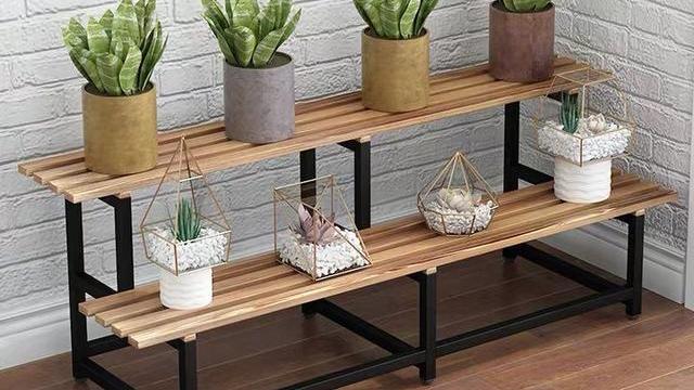 如果在阳台上养多肉，这3件东西再便宜也不买，真的不合适