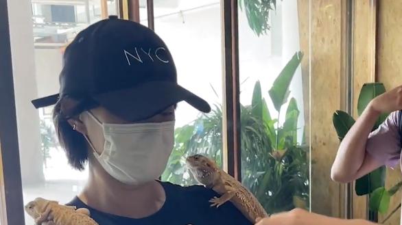 孙俪|邓超孙俪游动物园，娘娘肩扛蜥蜴蛇缠脖子，超哥吓得起鸡皮疙瘩