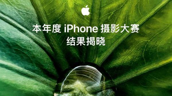 iphone13 pro|苹果iPhone13Pro系列微距摄影大赛，中国小孩获奖，尽显微距之美