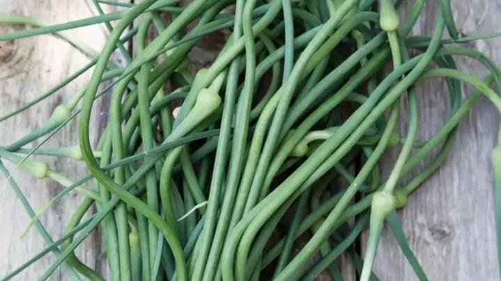 为何大蒜在超市里不发芽，买回家放几天就发芽？原来有这么多门道