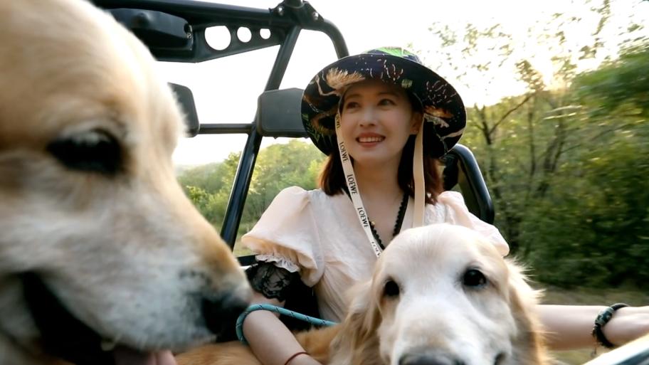 周海媚|全网“梦中情人”，却遭4次背叛，56岁独居不婚：离开男人，我不后悔！