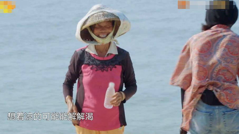 张子枫|向往6：中年婆婆高温下劳作，张子枫做法成焦点，细节暴露了修养