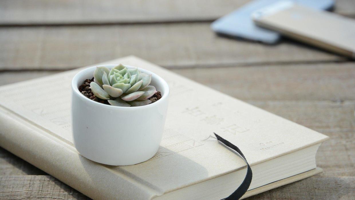 自媒体|做自媒体20个赚钱和运营小技巧，赶紧点赞收藏，自媒体新手福利