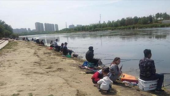 大板|河南一河道成天然黑坑，有人拖家带口来垂钓，网友：鱼犯天条了