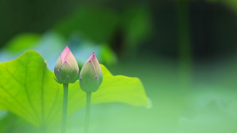 老年病|我裸辞了：在健康面前，年新40W+只是个数字